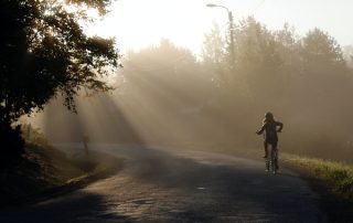 A shadowed figure is riding a bike in a background of trees. The feeling of the picture evokes freedom and joy.