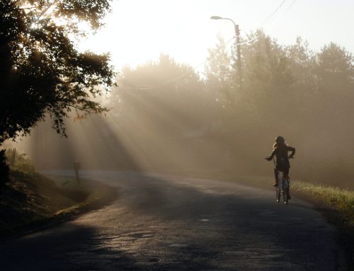 Navigating Life’s Twists: Unraveling Childhood Survival Strategies for a Fuller Adulthood